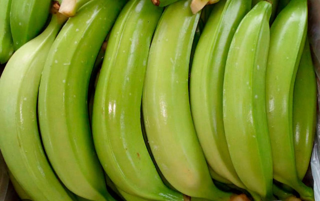 Cultivo de Plátanos